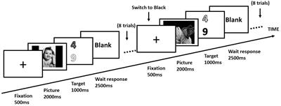 Positive Emotion Facilitates Cognitive Flexibility: An fMRI Study